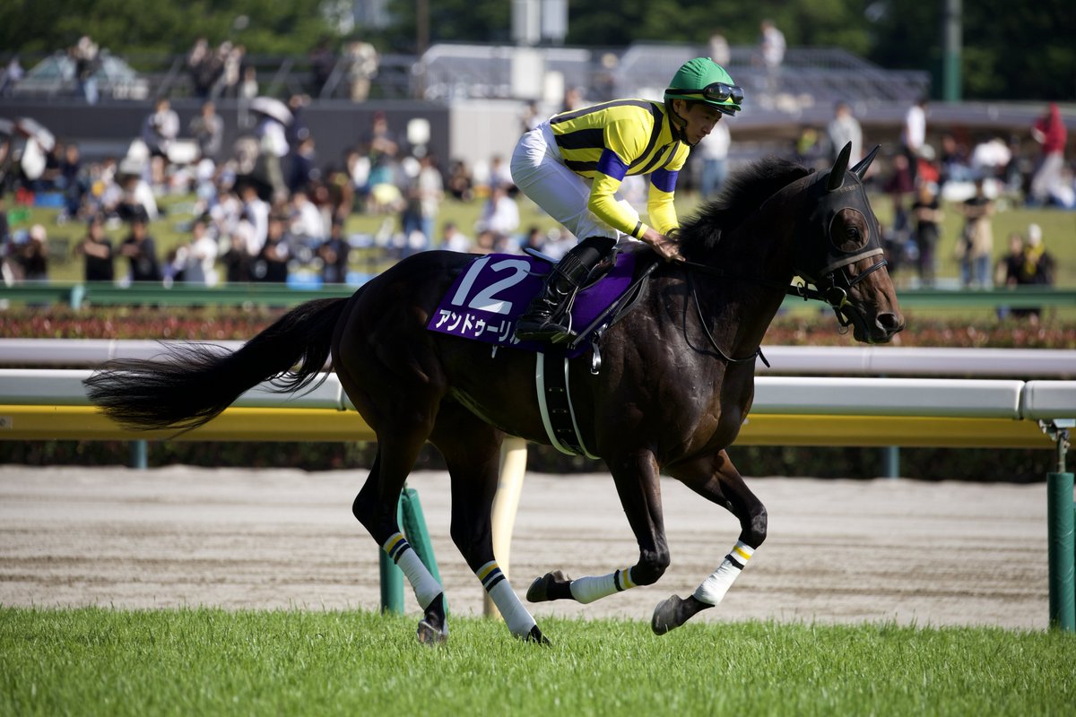チアシー (@temple24324440) / Posts / X