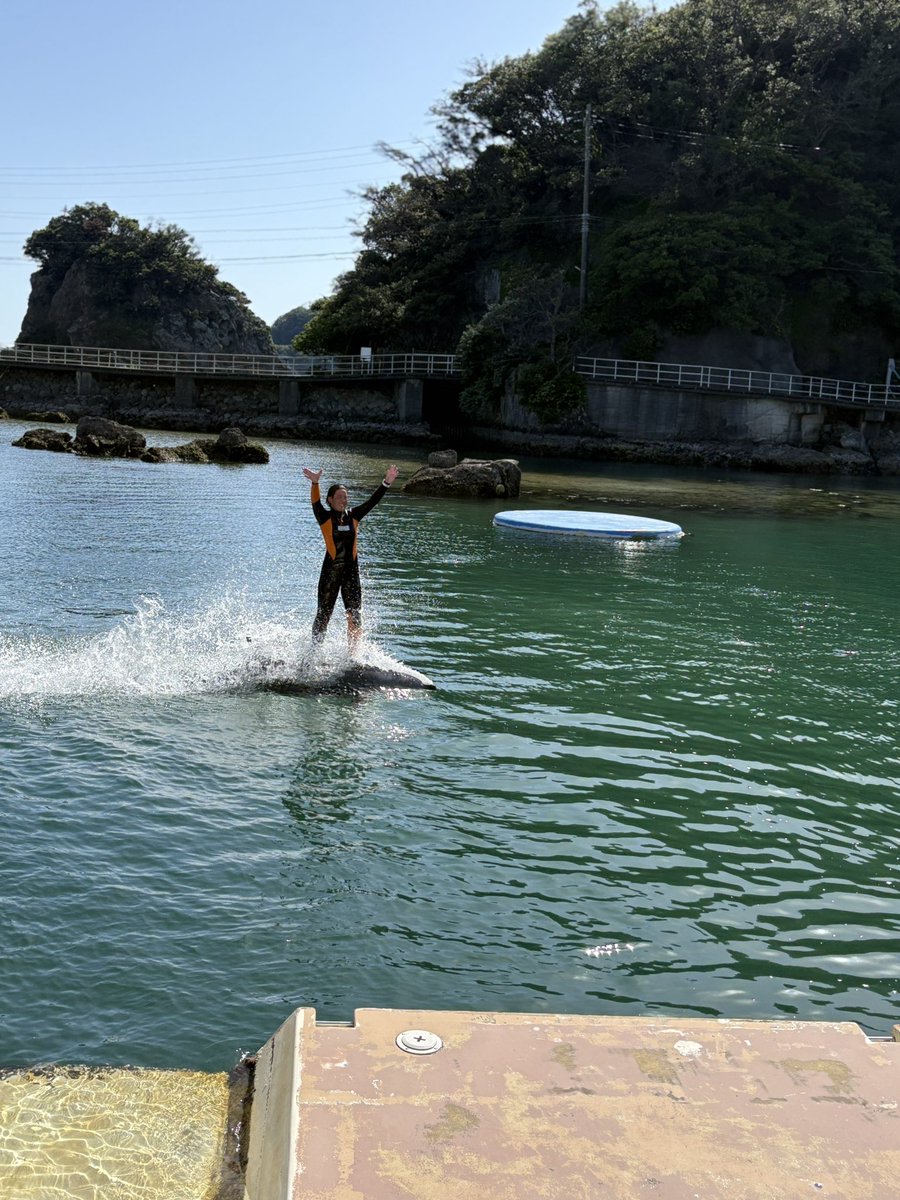 junjun_camp's tweet photo. 下田海中水族館にたぶん30年ぶりくらいに行ってきたんだけど、色々近くで見れて楽しかった
みんな可愛すぎてやばかったん
下田海中水族館はいいぞ〜
#下田海中水族館　#日帰りドライブ https://t.co/pBB3zqq3r9