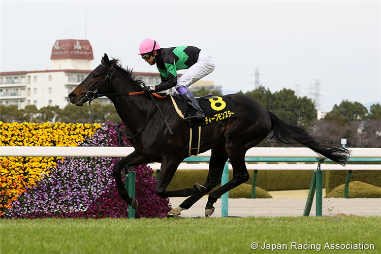 HKJC Racing tweet media