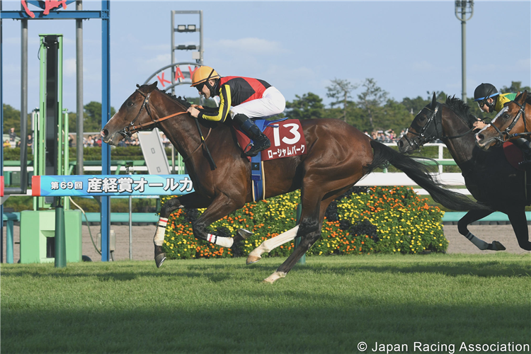 HKJC Racing tweet media