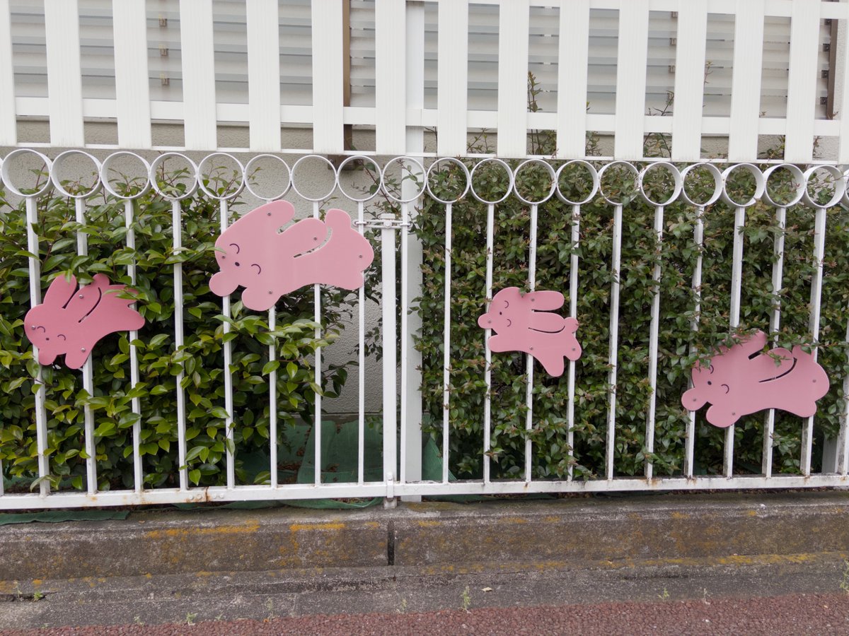 くら tweet media