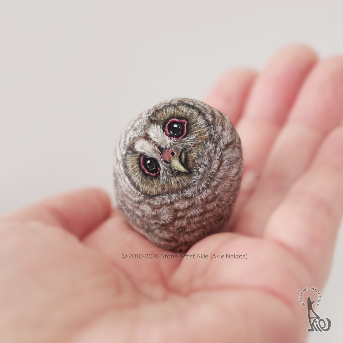 石で作ったフクロウです。 石から出てきたフクロウの雛🦉 『はてぇ…？』