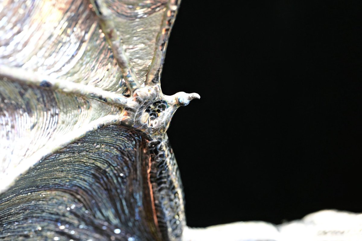 weldboybase tweet media