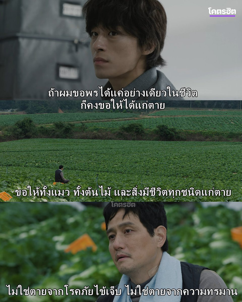 KodhitHD's tweet photo. ถ้าผมขอพรได้แค่อย่างเดียวในชีวิต "ก็คงขอให้ได้แก่ตาย"

ขอให้ทั้งแมว ทั้งต้นไม้ และสิ่งมีชีวิตทุกชนิดแก่ตาย ไม่ใช่ตายจากโรคภัยไข้เจ็บ ไม่ใช่ตายจากความทรมาน หวังว่าทุกอย่างจะแก่ตายเหมือนใบไม้ที่ร่วงหล่นจากต้น

บทเรื่องนี้คือดีมากจริงๆ 🥹🥹
.
.
#WeAreAllTryingHere #เราต่างพยายามกันสุดใจ #KooKyoHwan