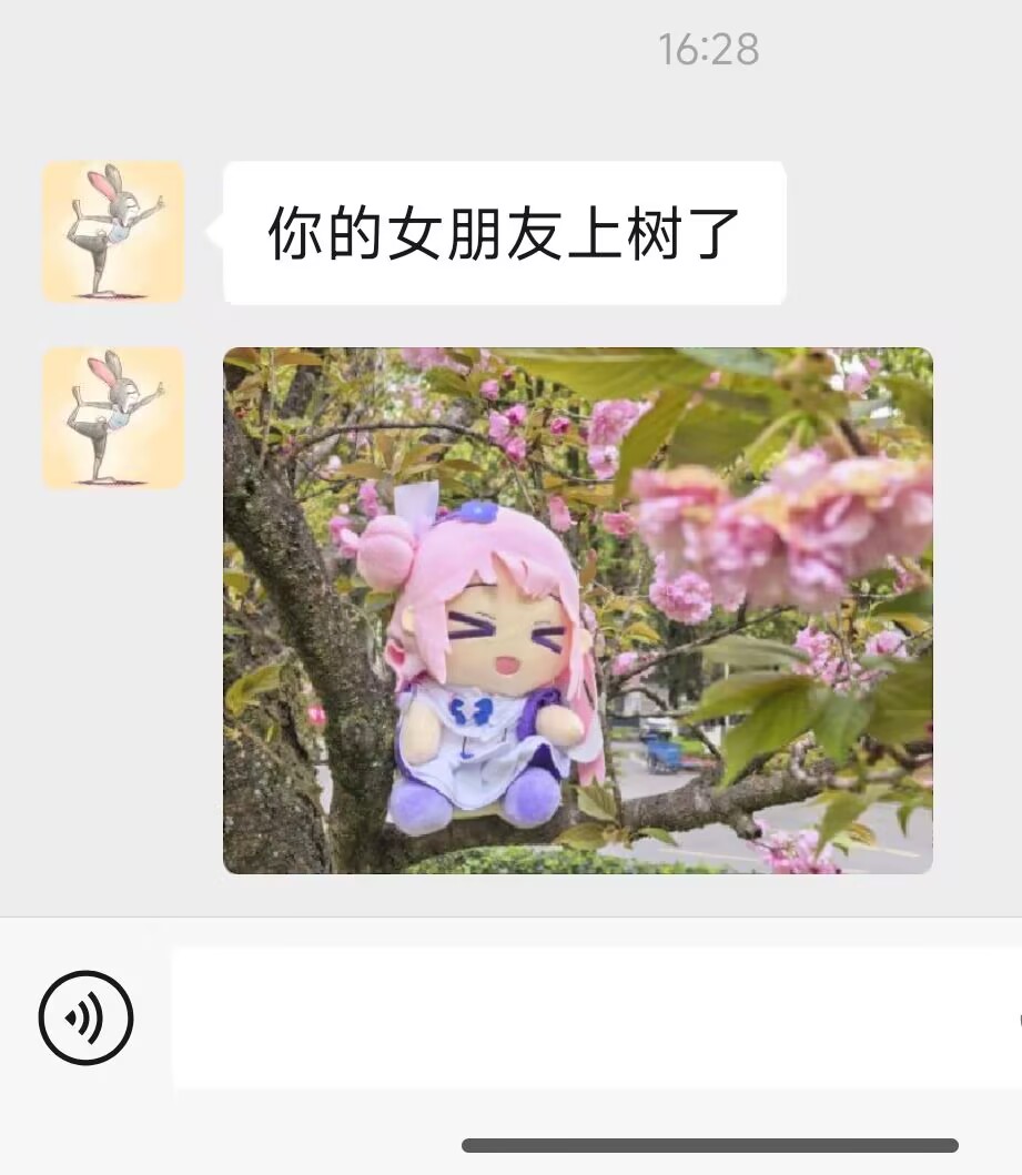 HsdLysf's tweet photo. 你的女朋友上树了 https://t.co/CDyyU9aYkj