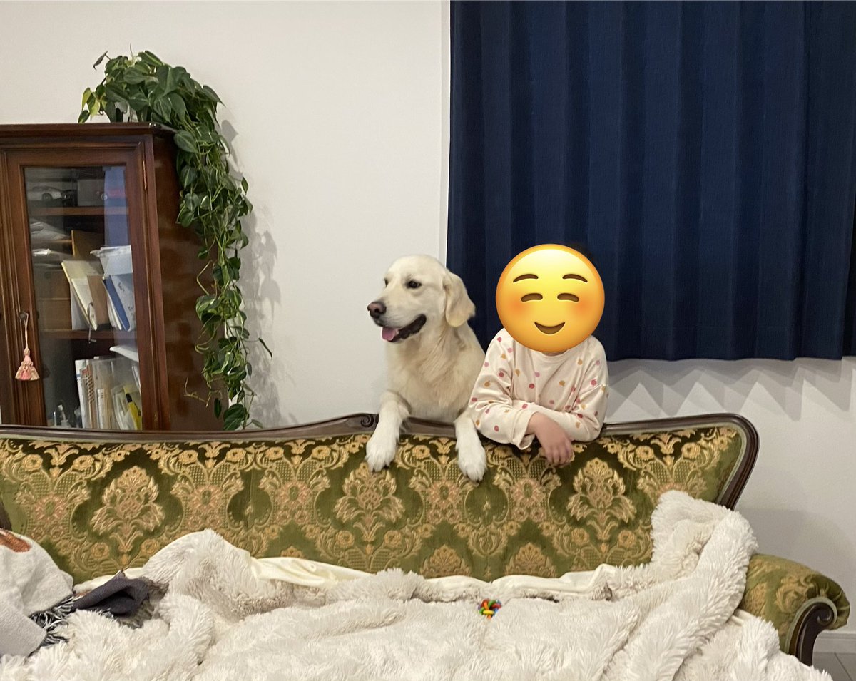 Aslan🐶 tweet media