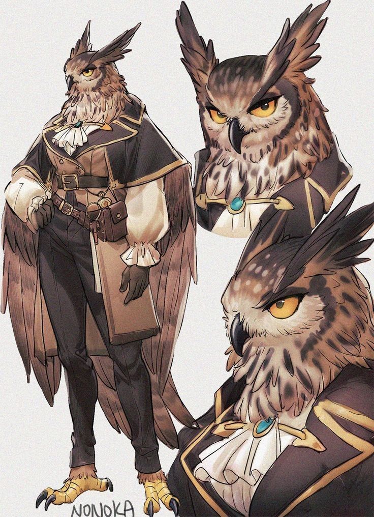 Owl tweet media