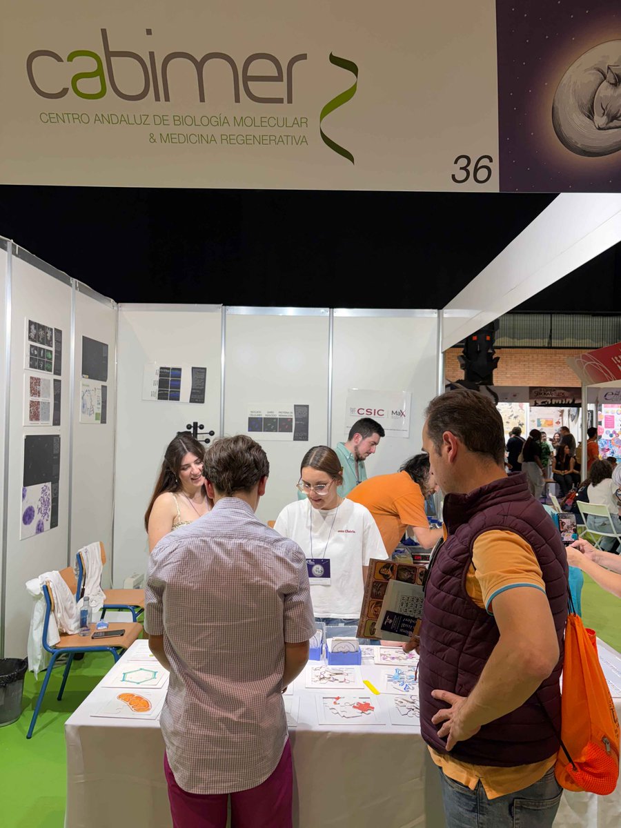 cabimer's tweet photo. Cerramos nuestra participación en la #24FeriaCiencia con muy buenas sensaciones 🧬

Han sido días para acercar la biología molecular a todos los públicos: ADN, microscopía, juegos, preguntas y mucha curiosidad compartida.
Gracias a todo el equipo que lo ha hecho posible. https://t.co/uaRhbICjIb