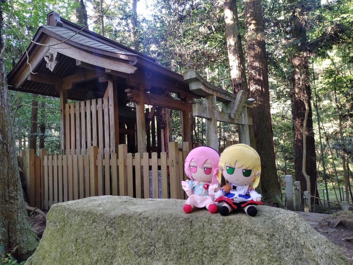 ⛩scarristo komeiji⛩ tweet media