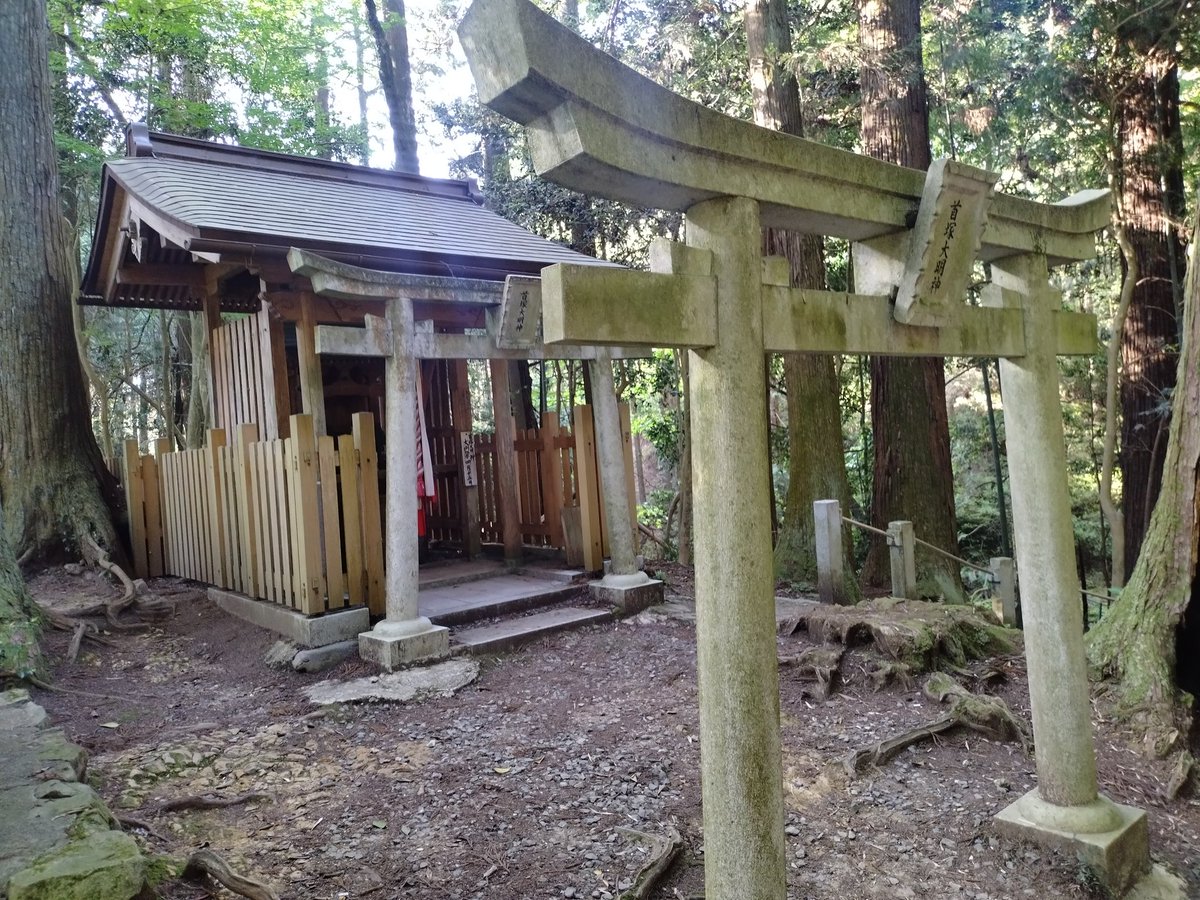 ⛩scarristo komeiji⛩ tweet media