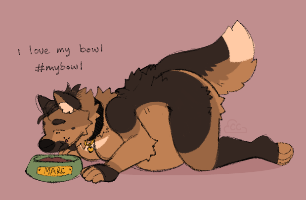 cloudcrime_'s tweet photo. dog bowl https://t.co/7j4HOWhDhU