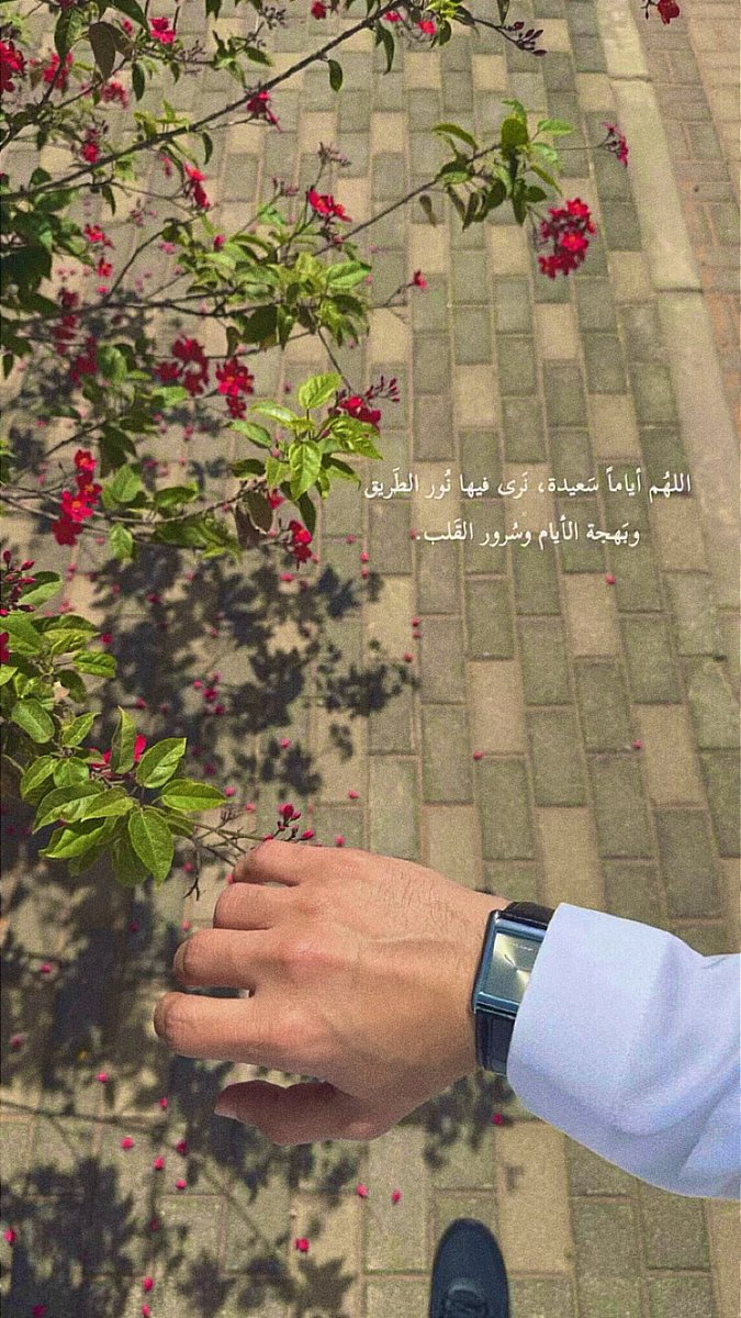 خالد البطي tweet media