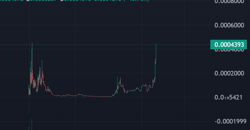 0xRatzilla's tweet photo. $molandak good chart https://t.co/B5cUvf8rrJ