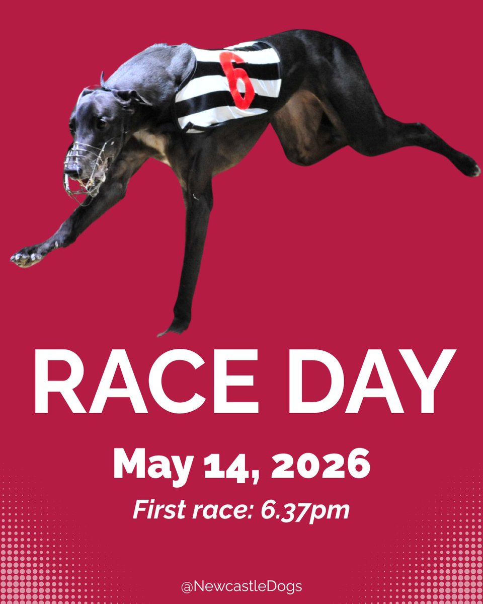 Newcastle Greyhound Stadium tweet media