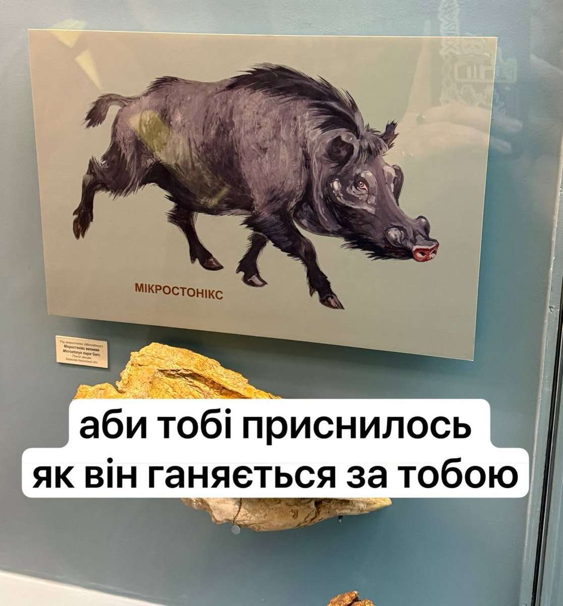 бугай водяний tweet media