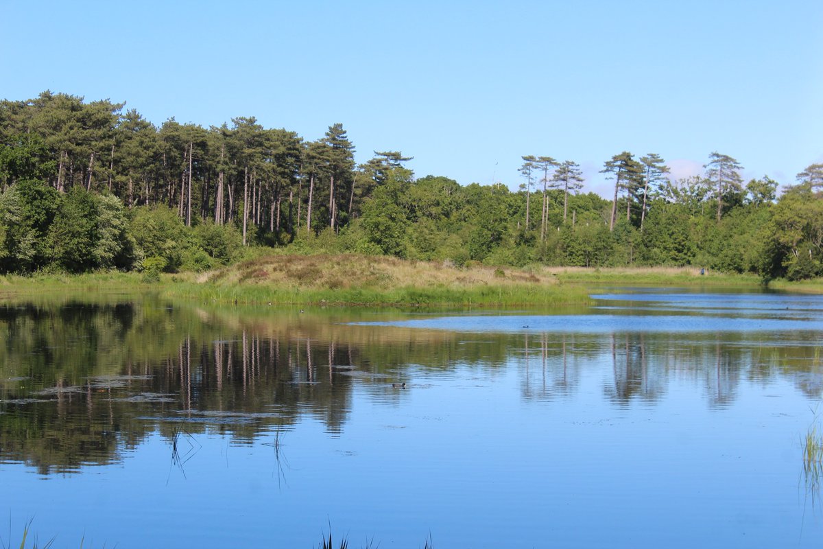 Terschelling tweet media