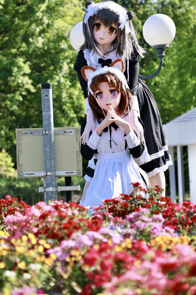Tapplin01's tweet photo. 5/10はメイドの日☆と言う訳で少しの間でしたがカラダをお借りしてブルーメの丘に顕現🦊楽しかったのです🍃ありがとうございました♪
#JACKETinブルーメの丘 https://t.co/XySfKRGB2d