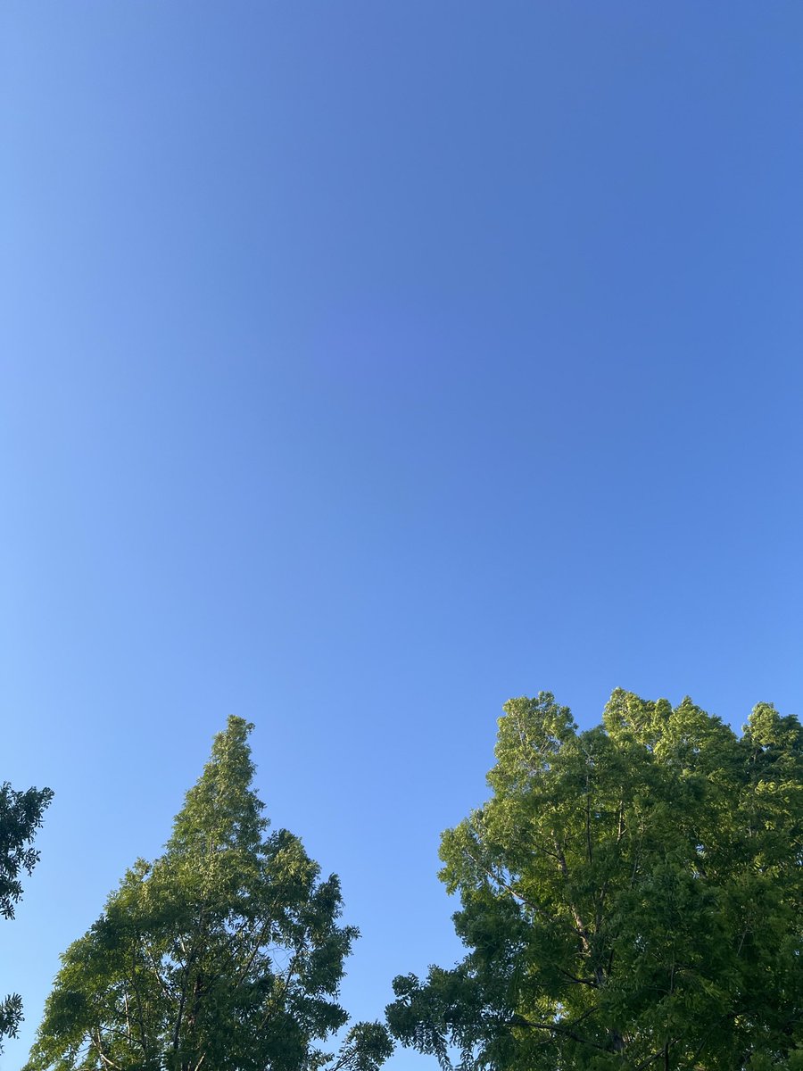 gallerywave's tweet photo. 本日、大阪はいいお天気です

絶好のISS観測日和です

19:21ごろの北の空

#きぼうを見よう https://t.co/SkIVeA7ay4