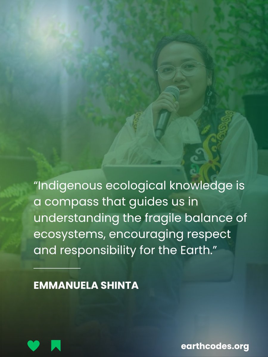 EarthCodes tweet media