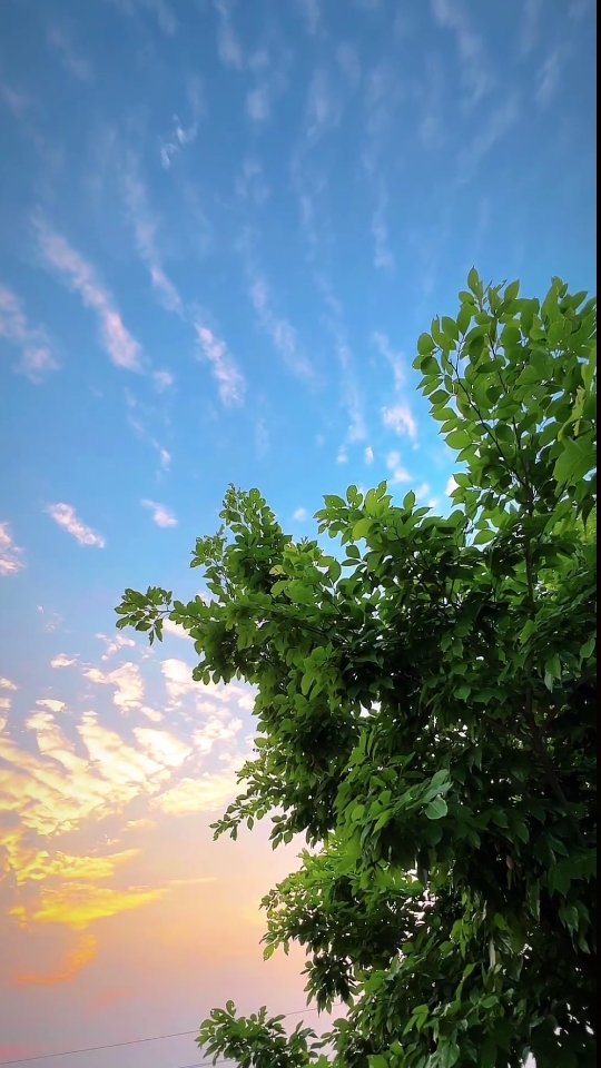 SulemanZartasha's tweet photo. لوگوں کے لفظوں پر نہیں،
ان کے عمل پر بھروسہ کرنا سیکھیں۔

 کان اکثر وہ سنتے ہیں
 جو جھـــوٹ ہوسکتا ہے۔
لیکن آنکھیں وہ دیکھتی ہیں جو سچ ہوتا ہے۔
 کسی کے بارے میں دوسروں کی راۓ پر اپنی رائے قائم کرنا ایسا ہی یے جیسے کسی اور کی عینک لگا کر دنیا کو دیکھنا.

Have a good day 🤗
#زری https://t.co/QNWBSc4P7R