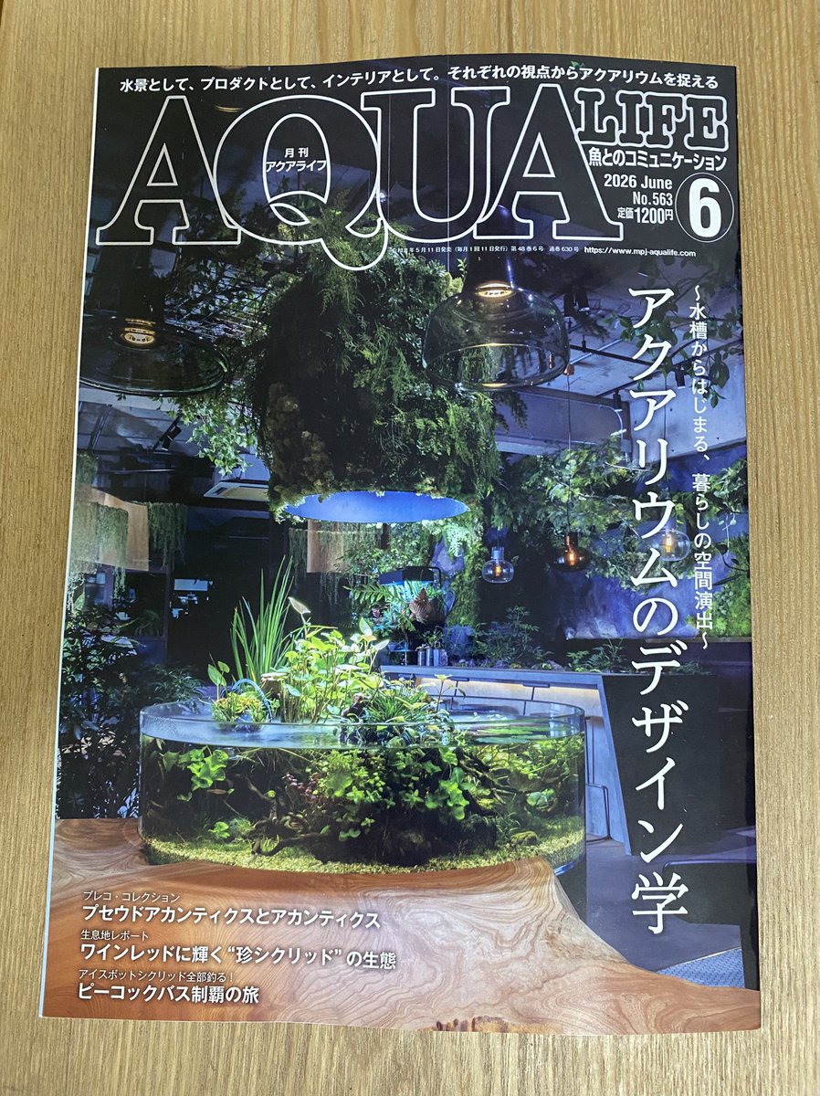世界の果てまで魚釣り tweet media
