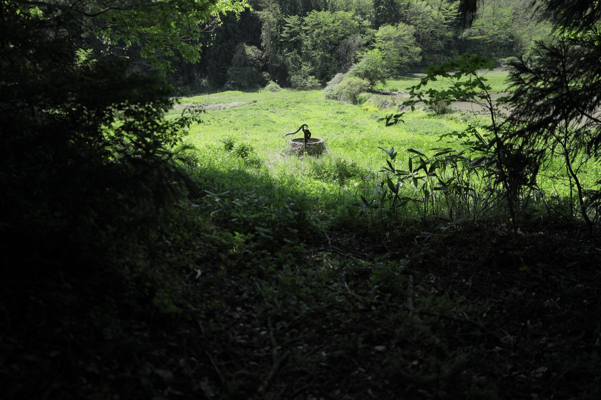 希梨@24mm tweet media
