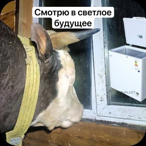 хуй с горы tweet media