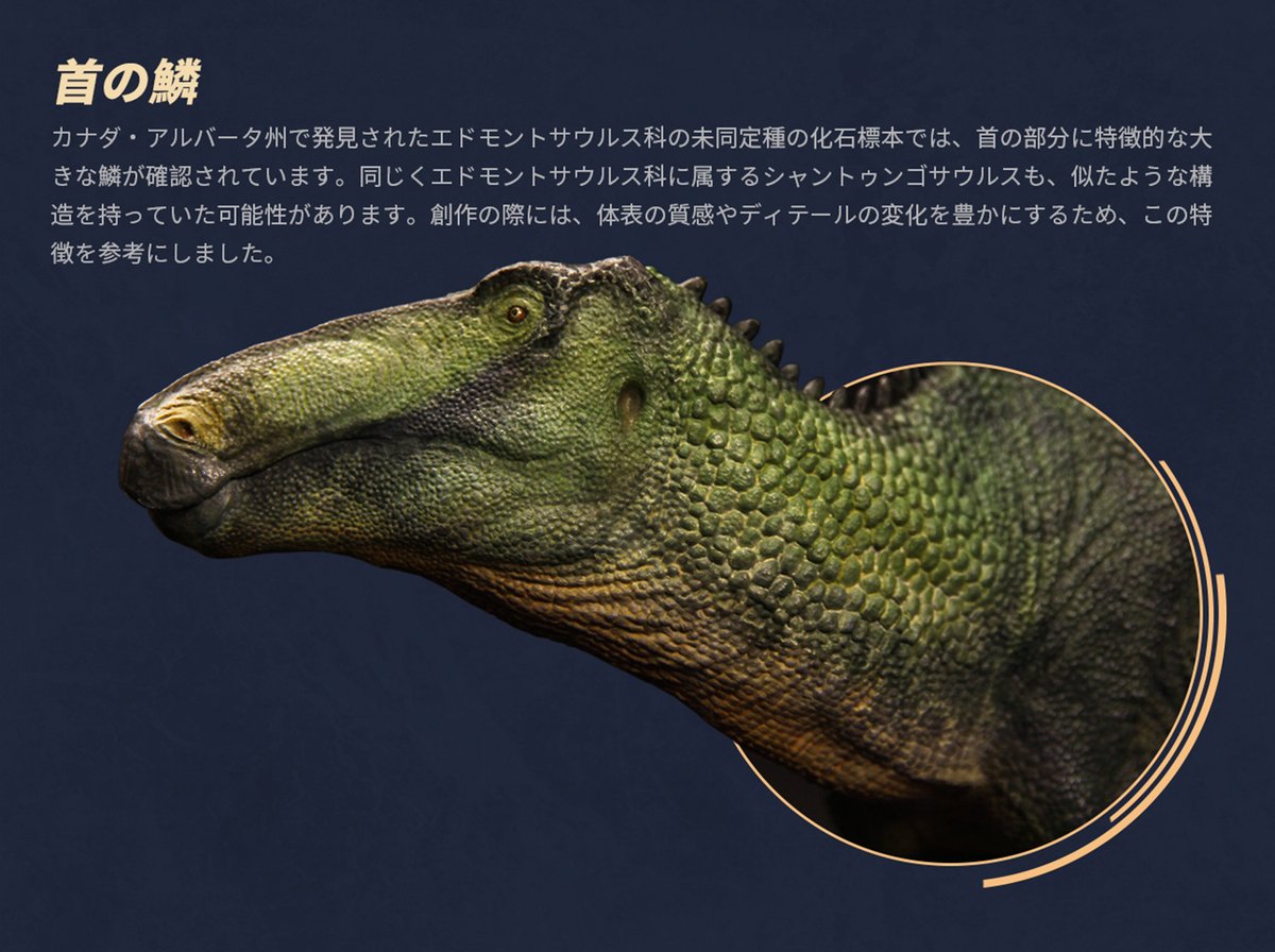 🦖✨ 寰宇大千 シャントゥンゴサウルス フィギュア 予約受付中