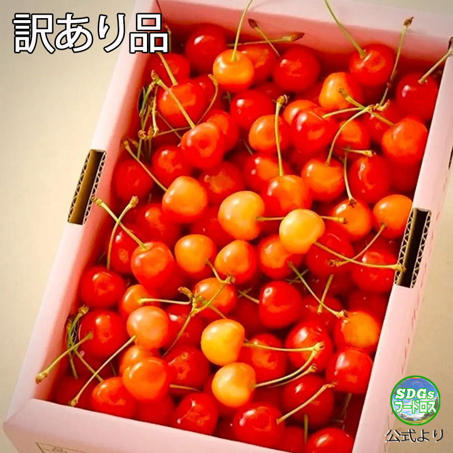 さくらんぽプロフ必読✳️断捨離 🫶お得においしくSDGs🫶／ #訳あり #フードロス さくらんぼ『 佐藤錦