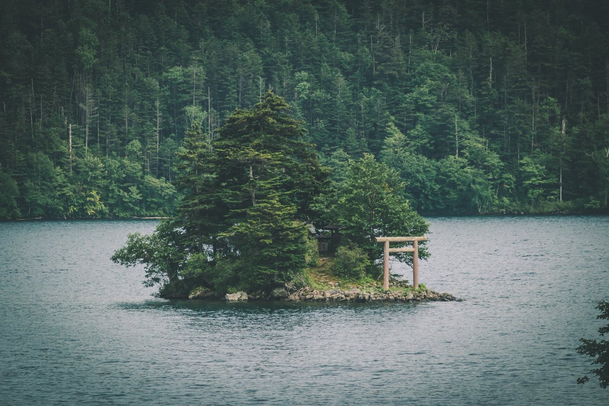 一人旅研究会 tweet media