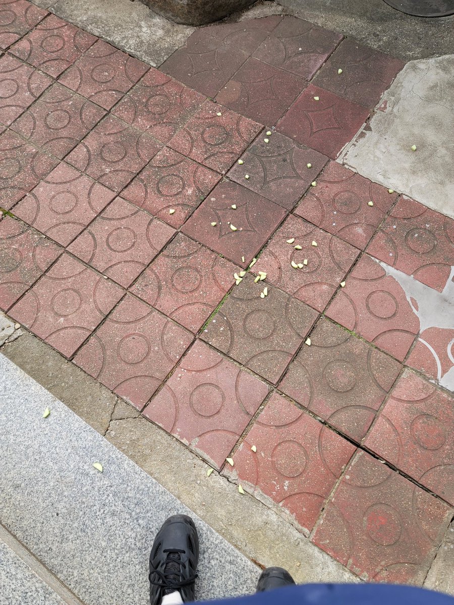 한새 ꕤℍ𝔸ℕ𝕊𝔸𝔼ꕤ tweet media
