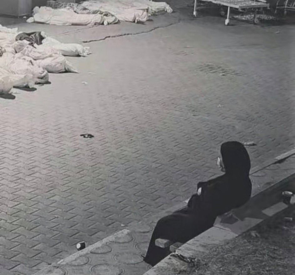 محمد المختار الشنقيطي tweet media