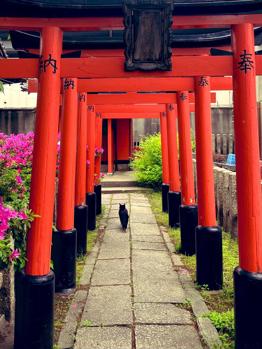 神社