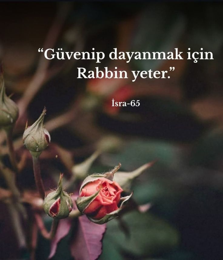 Lâ tweet media