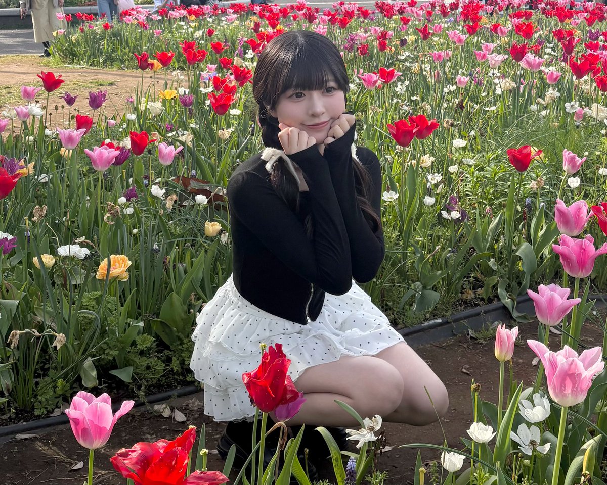 青島もも tweet media