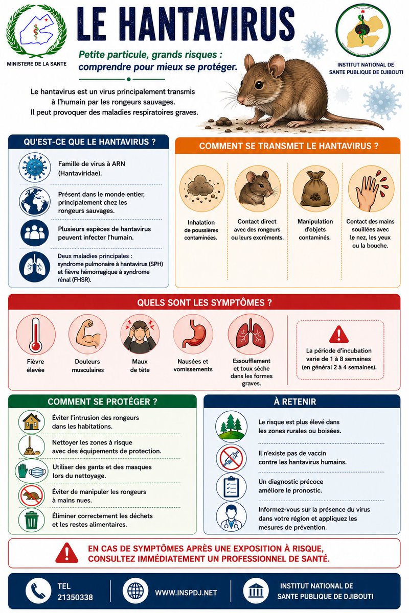 InstitutInspd's tweet photo. L’Institut National de Santé Publique de Djibouti informe la population sur le hantavirus, une maladie virale transmise principalement par les rongeurs sauvages ( SOURIS, RAT….).
À ce jour, aucun cas de hantavirus n’a été détecté ni signalé en République de Djibouti.@LiveDjib https://t.co/RaUMS10e5W