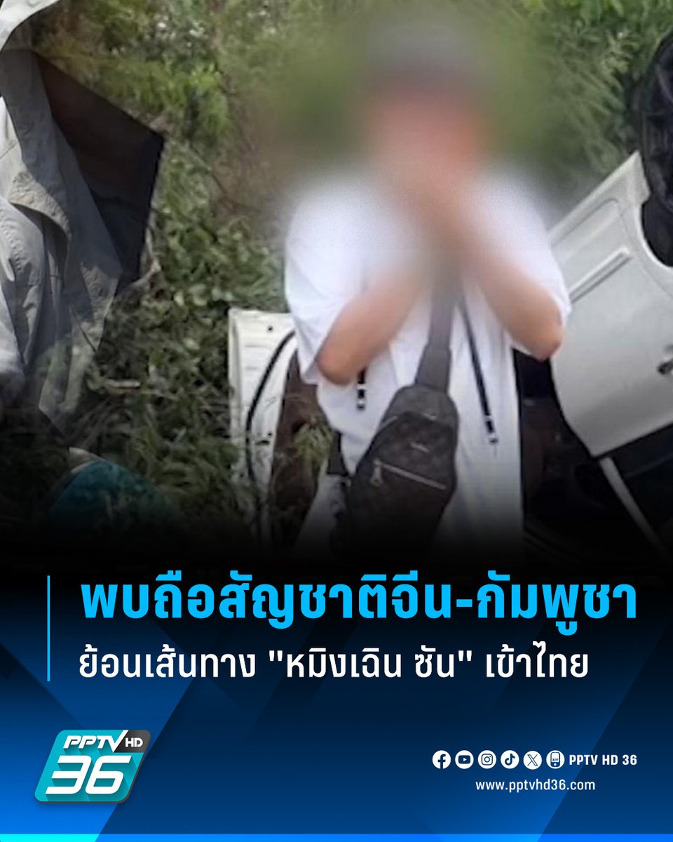 PPTV HD 36 tweet media