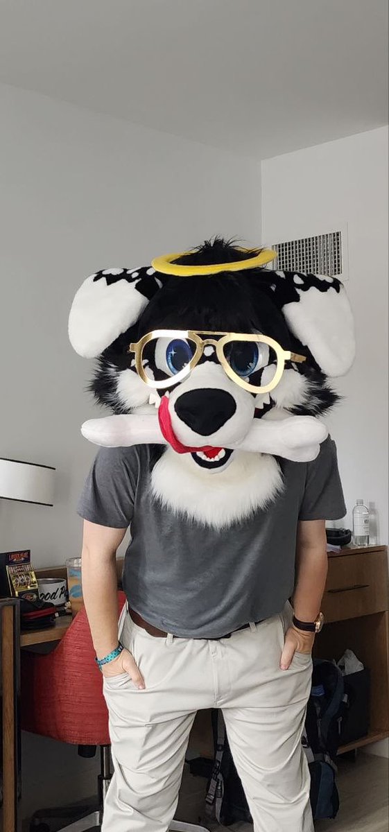 Angel Dog Alis 🔜 FWA tweet media