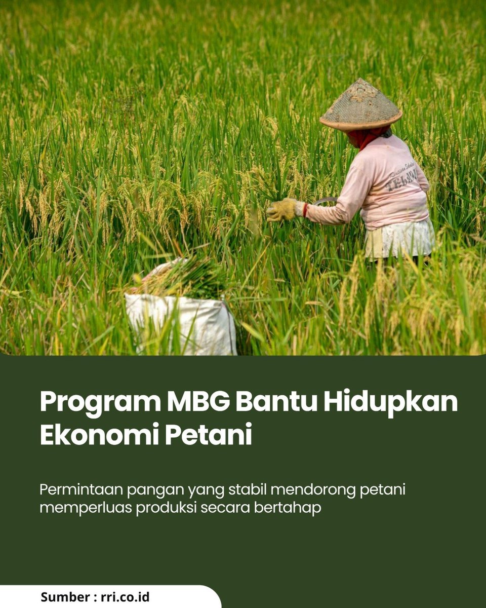 flashmbg's tweet photo. Meningkatnya kebutuhan bahan pangan untuk program ini ikut mendorong peningkatan produksi hasil pertanian dan menciptakan perputaran ekonomi baru di wilayah pedesaan. Kehadiran program ini menjadi bukti bahwa pemenuhan gizi.
#cerdasdarimbg #mbglawanstunting #viral https://t.co/k8lxJEJgZb