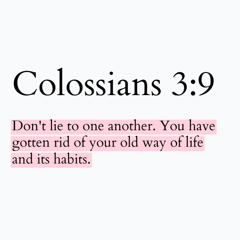 Holy Bible tweet media