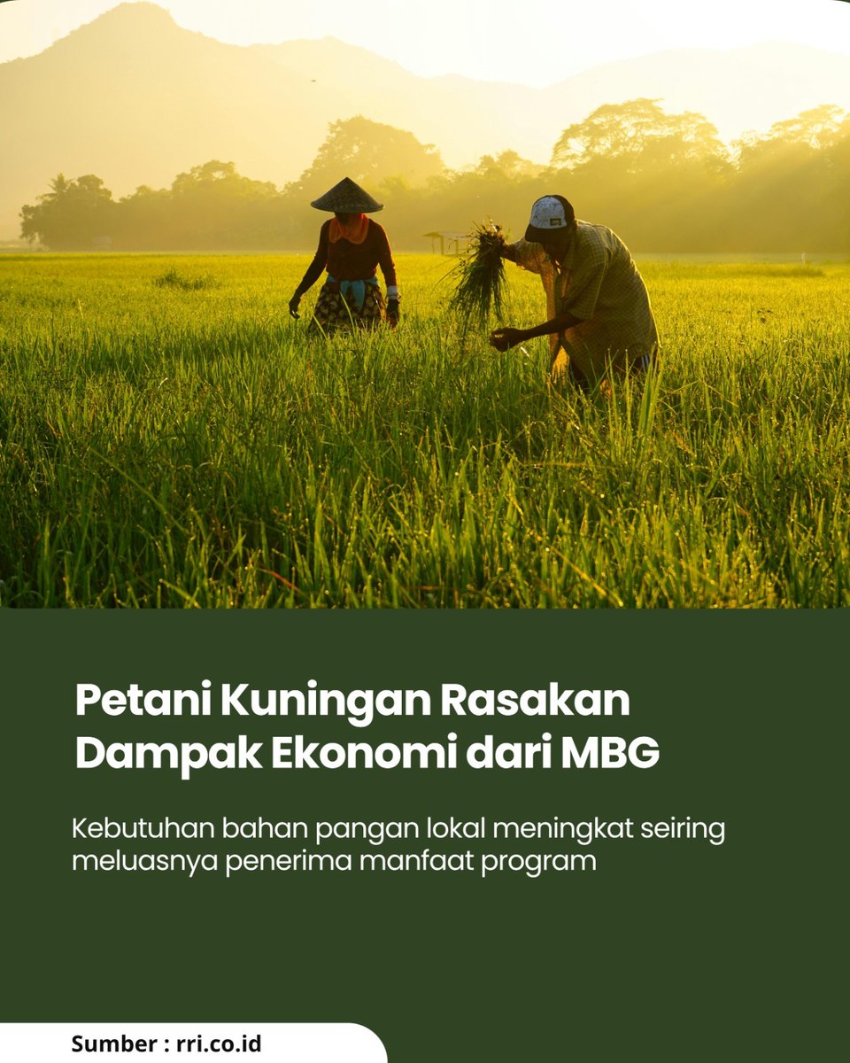 mbgupdate's tweet photo. Program MBG berikan dampak positif bagi para petani lokal di Kabupaten Kuningan. Meningkatnya kebutuhan bahan pangan untuk program ini ikut meningkatan produksi hasil pertanian dan perputaran ekonomi baru
#cerdasdarimbg #mbglawanstunting #viral

Sumber: https://t.co/Y5C912873G https://t.co/nIQaxkYTuD