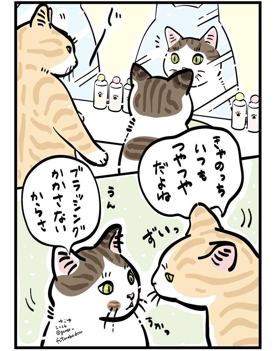 元祖ふとねこ堂 tweet media