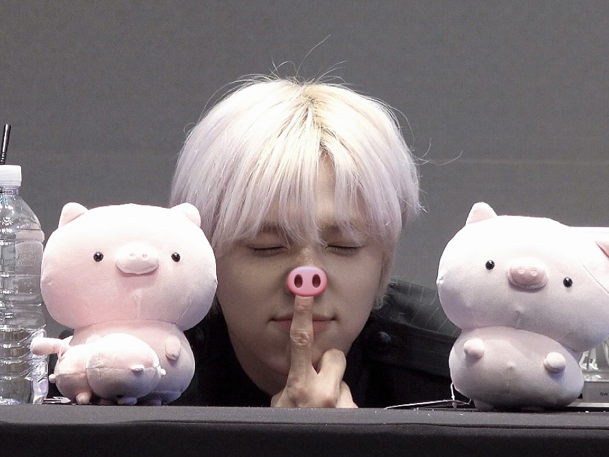 🐽 tweet media