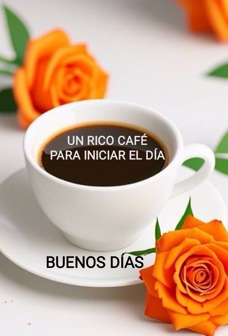 ❀○∘˚👑˳°○ Dita 💙❀ tweet media