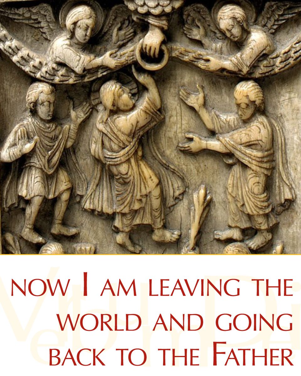 Vatican News tweet media