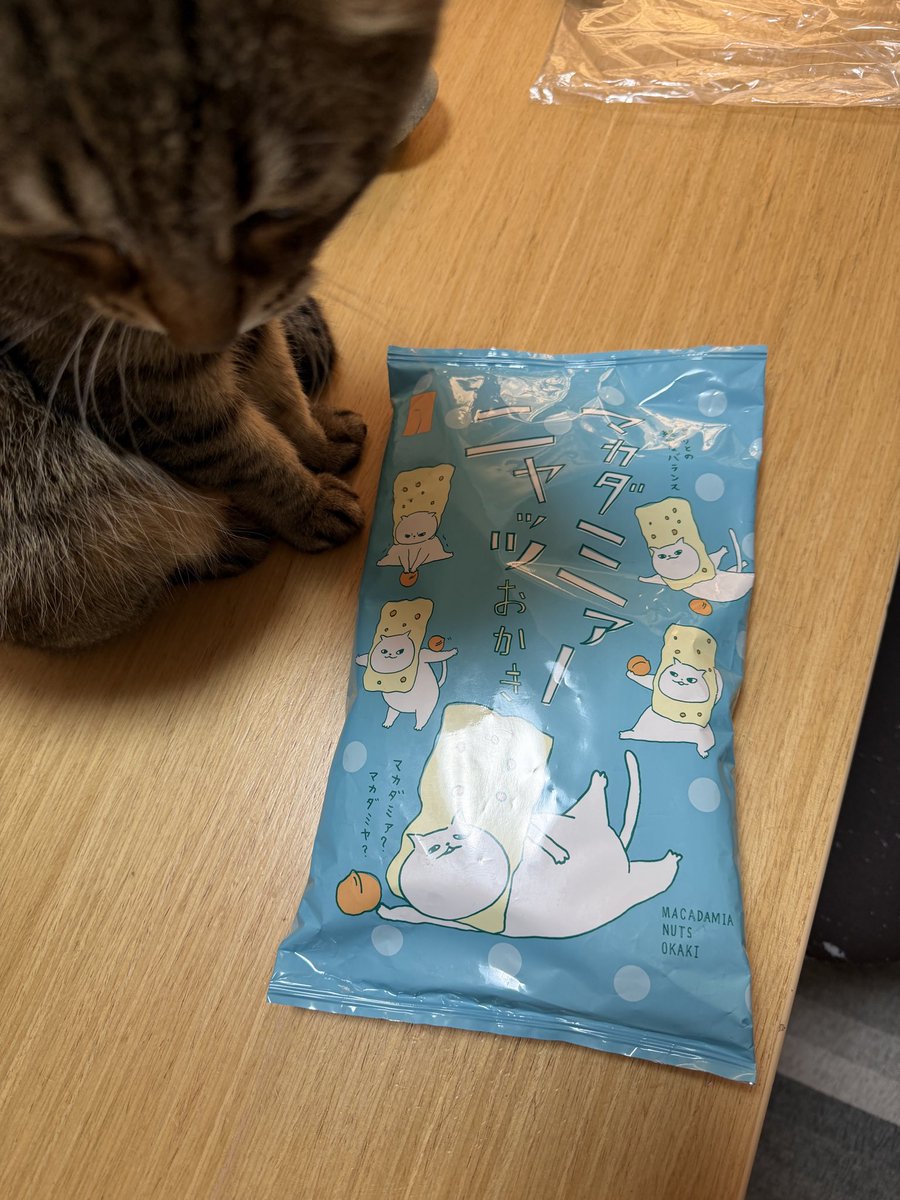 ねこみ tweet media