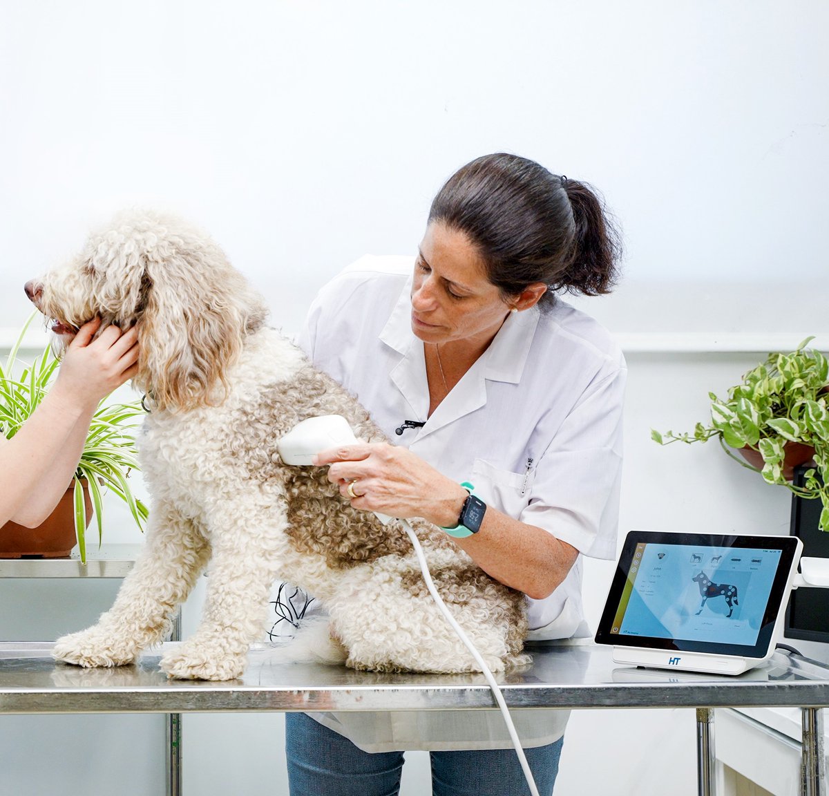 VBSDirect's tweet photo. We realise you did not open the link for the FREE ANIMAL HEALTH WEBINAR - CANCER SCREENING in CLINIC - https://t.co/xcMgwpxtZo https://t.co/0LEKf5bWXk