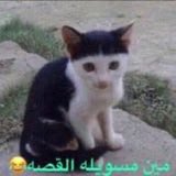 IN tweet media