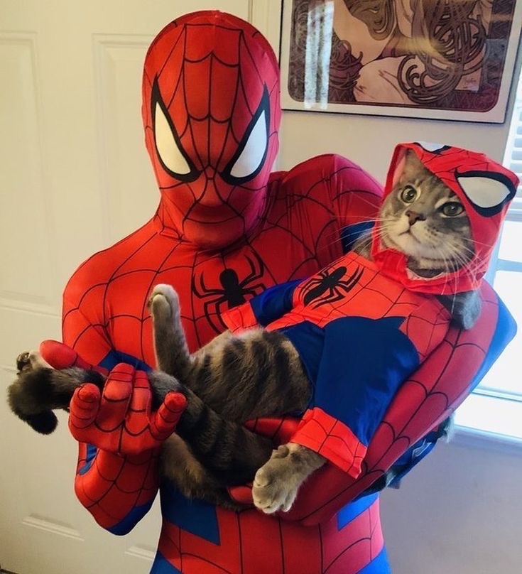 Spider-Man Vibe 🕷️ tweet media