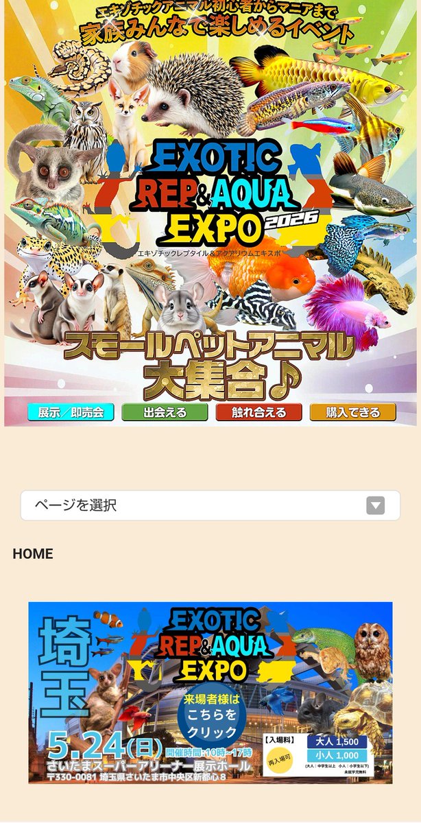 (合)Bebe Rep.(べべれぷ)5/30.31【九州爬虫類フェス【福岡】】に出店します tweet media